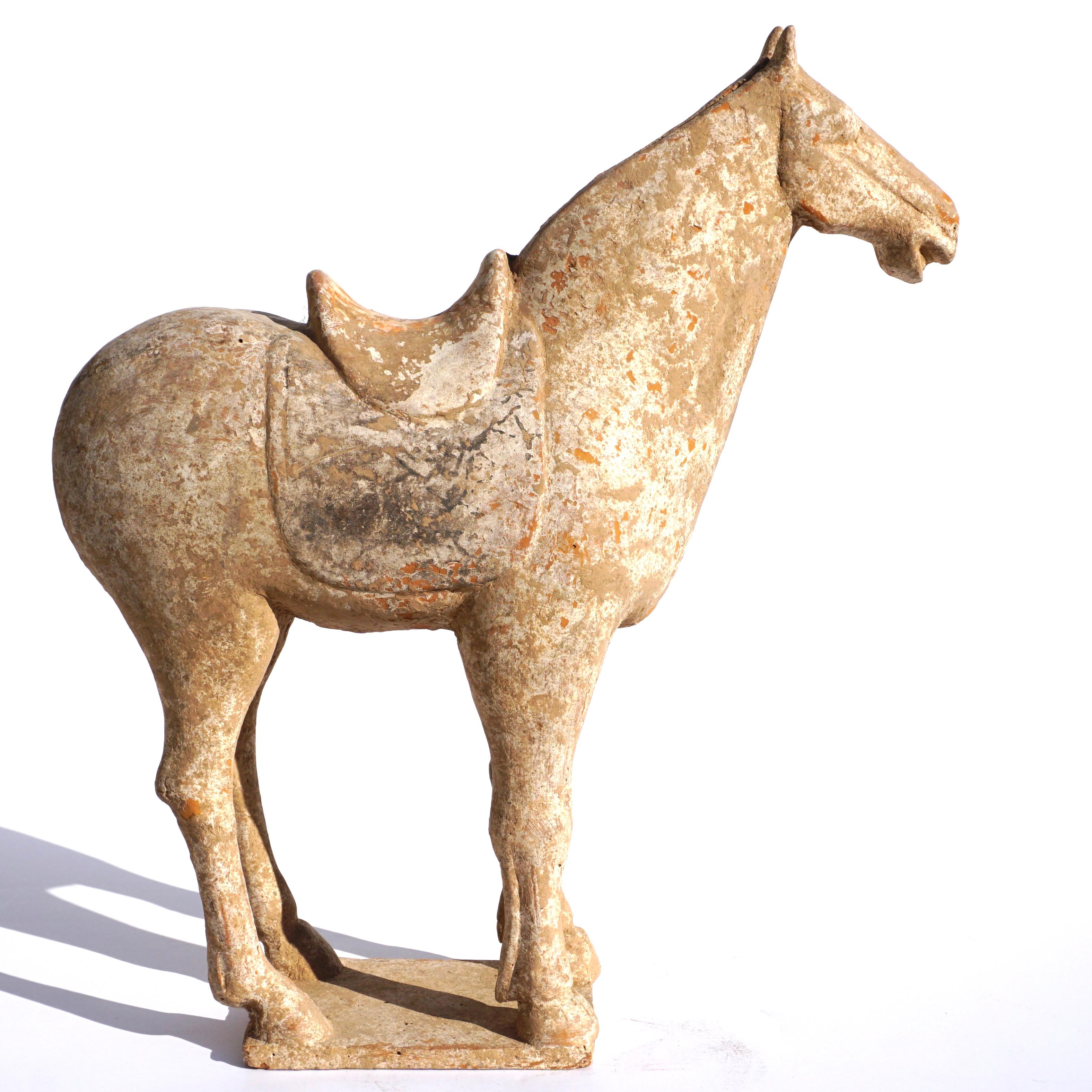 A beautifully proportioned Mingqi tomb pottery horse and saddle with traces of polychrome colors. Absolutely wonderful condition with no detected repairs with blacklight. A mane made of real hair would have been attached to the statue at the groove