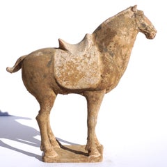 Chinese Tang Dynasty Terracotta Horse