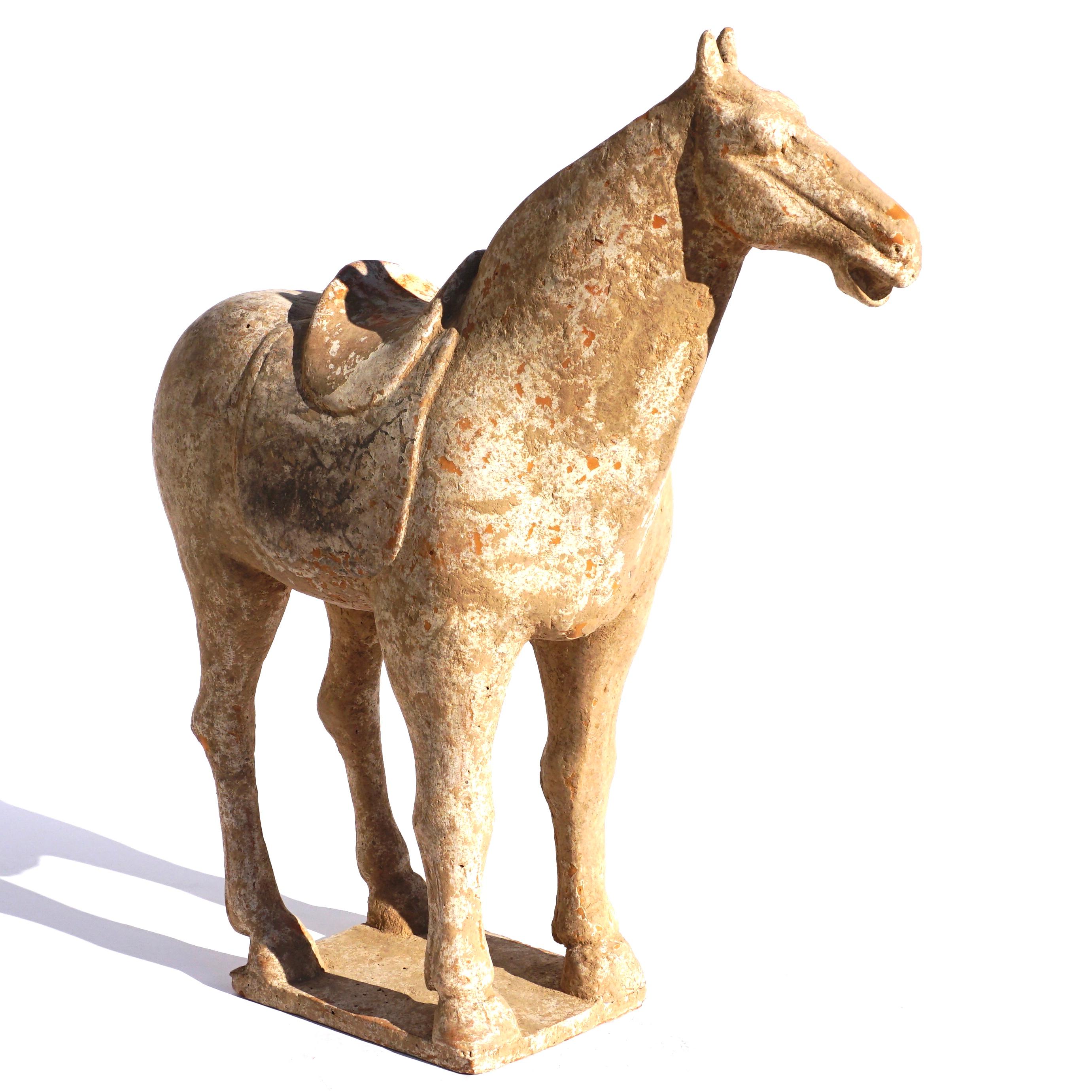 chinese terracotta horse