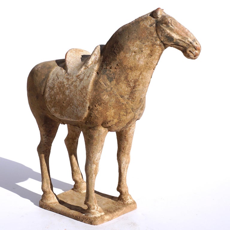 Chinese Tang Dynasty Terracotta Horse at 1stDibs