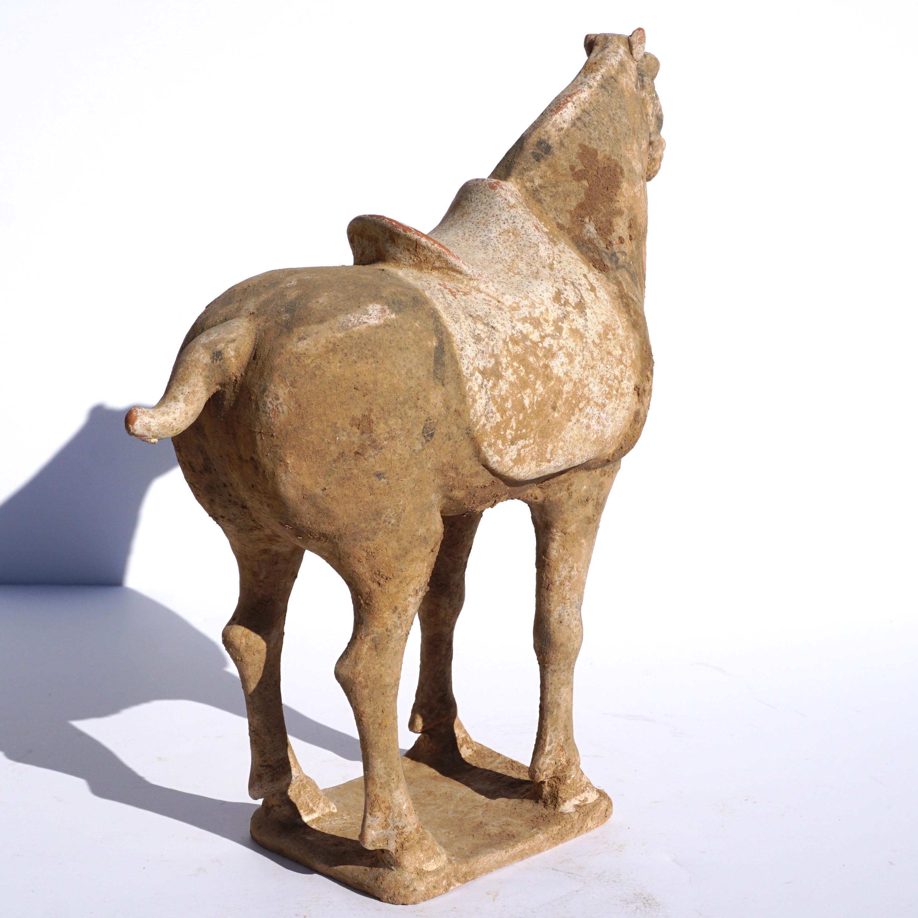 Chinese Tang Dynasty Terracotta Horse at 1stDibs terracotta horse for