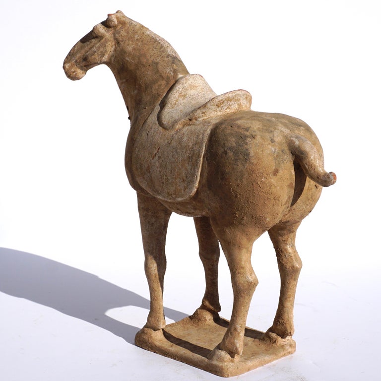 Chinese Tang Dynasty Terracotta Horse at 1stDibs