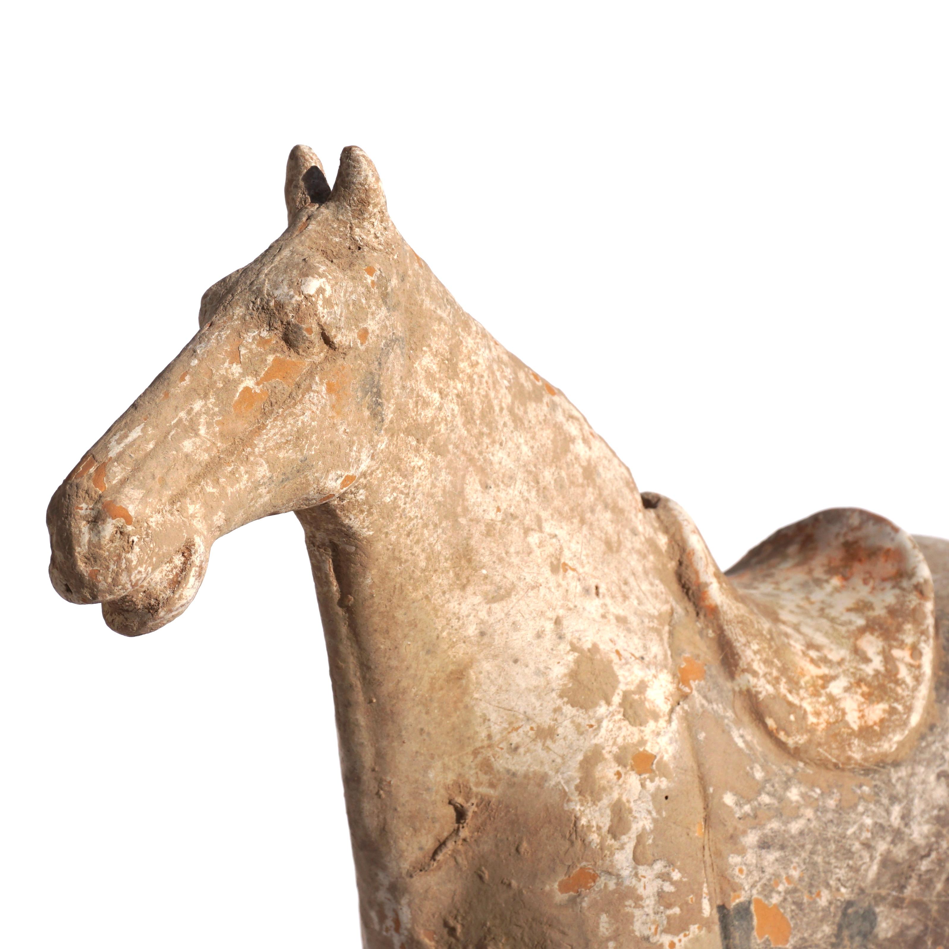Cast Chinese Tang Dynasty Terracotta Horse