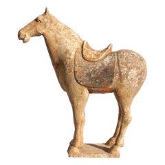 Antique Chinese Tang Dynasty Terracotta Horse