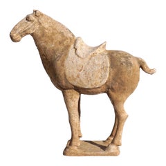 Used Chinese Tang Dynasty Terracotta Horse