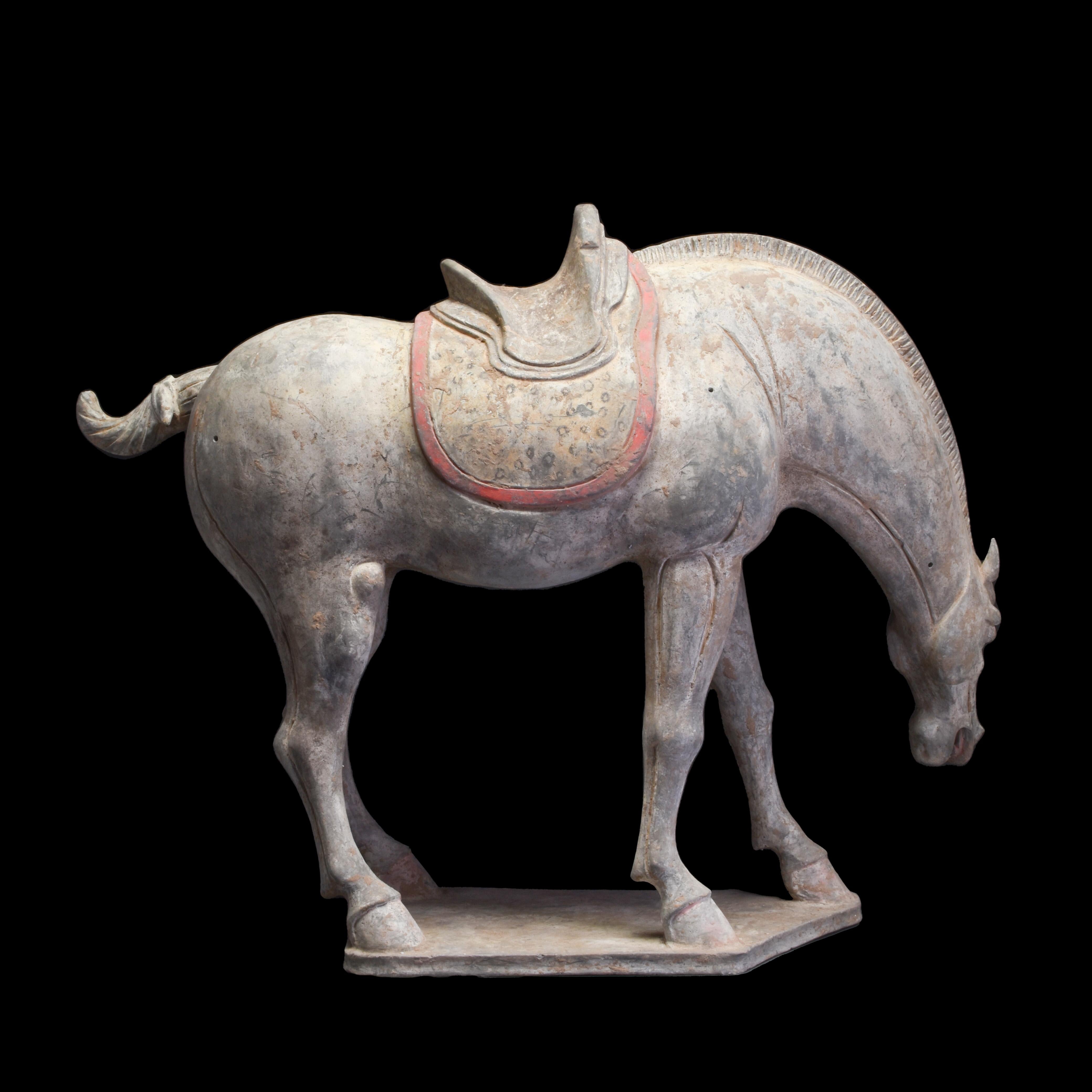 Chinese Tang Dynasty Terracotta Horse TL Tested For Sale at 1stDibs