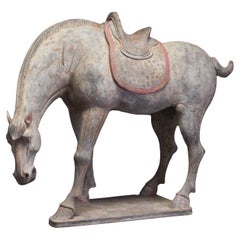 Chinese Tang Dynasty Terracotta Horse - TL Tested