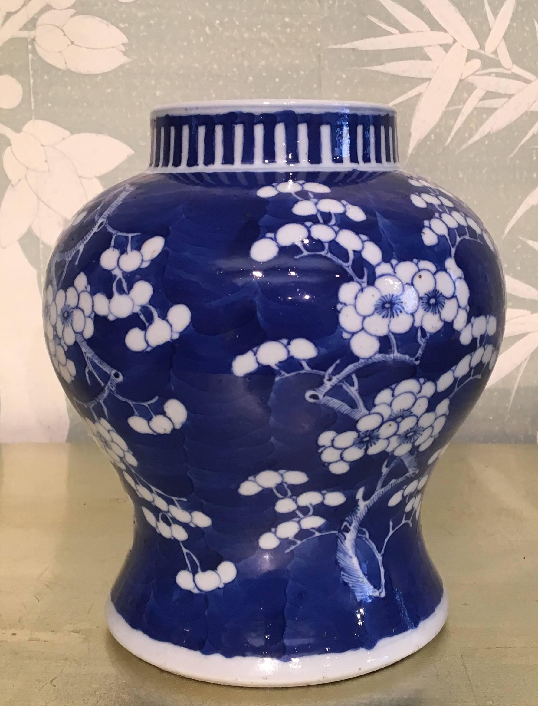 A Chinese 19th century blue and white temple jar with white prunus design on cobalt blue ground.