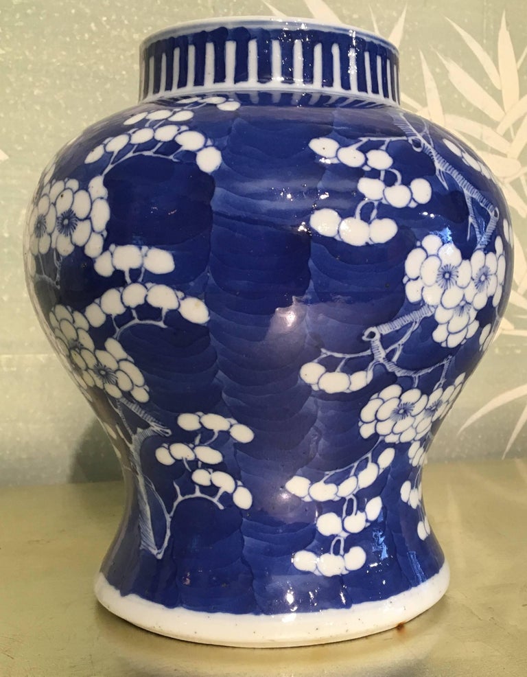 Chinese Temple Jar For Sale at 1stDibs