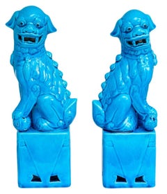 Chinese Turquoise Ground Porcelain Pho Dogs, Pair