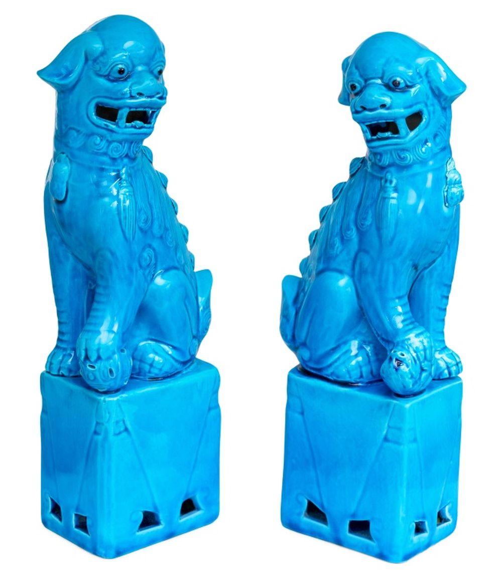 Qing Paire de chiens Pho en porcelaine chinoise à fond turquoise en vente