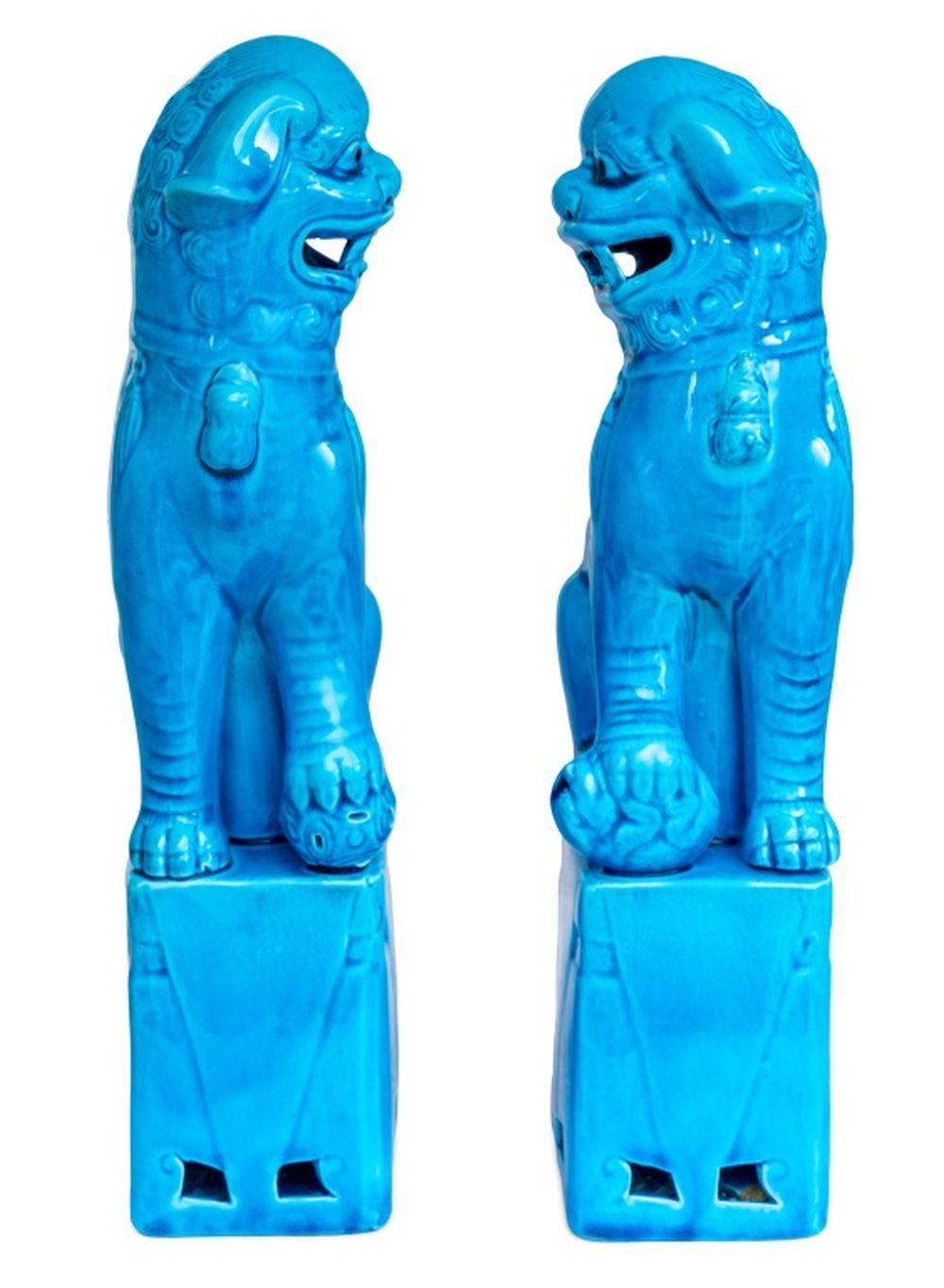 Chinois Paire de chiens Pho en porcelaine chinoise à fond turquoise en vente