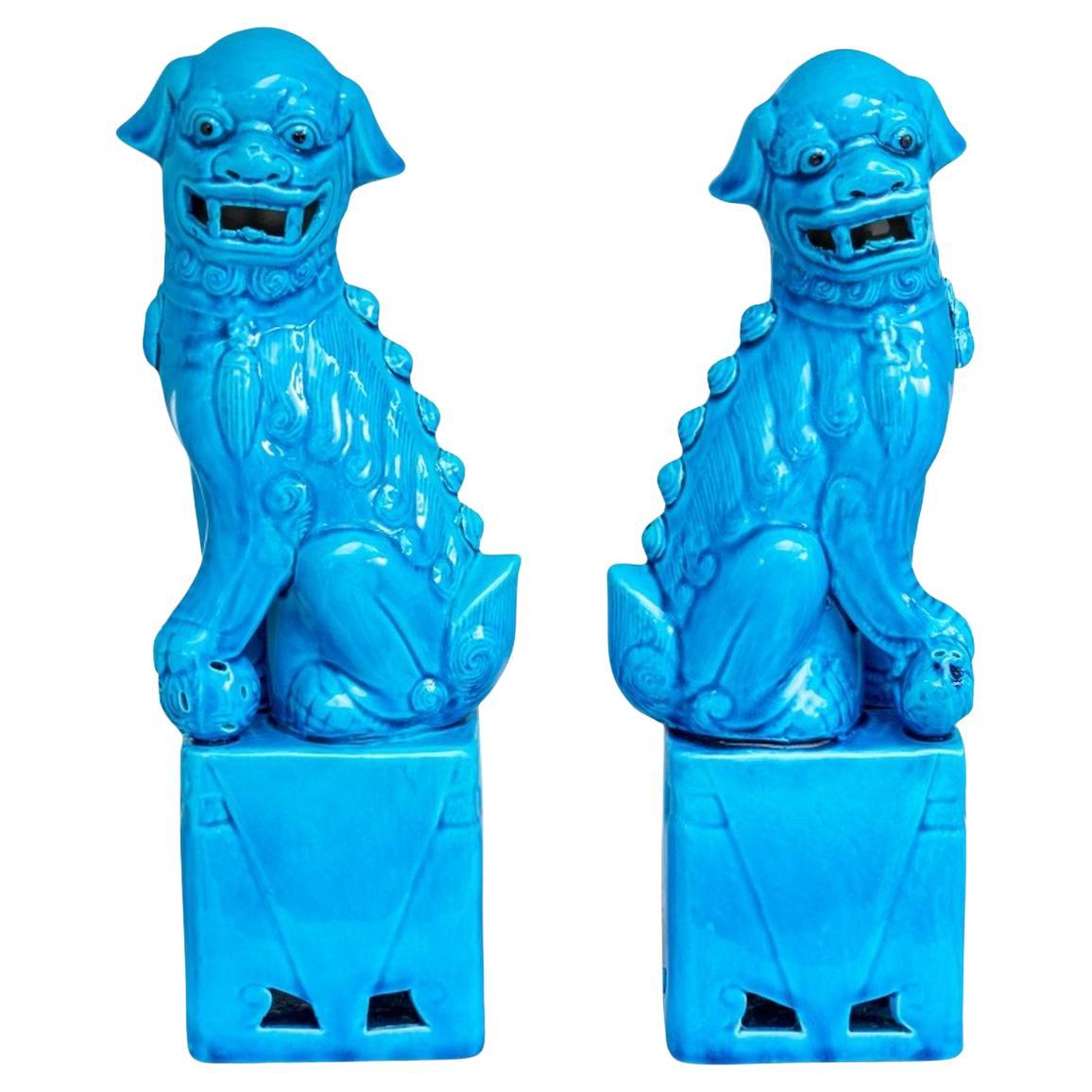 Paire de chiens Pho en porcelaine chinoise à fond turquoise