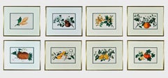 Chinese Watercolors of Exotic Fruit on Pith Paper- A Set of Eight