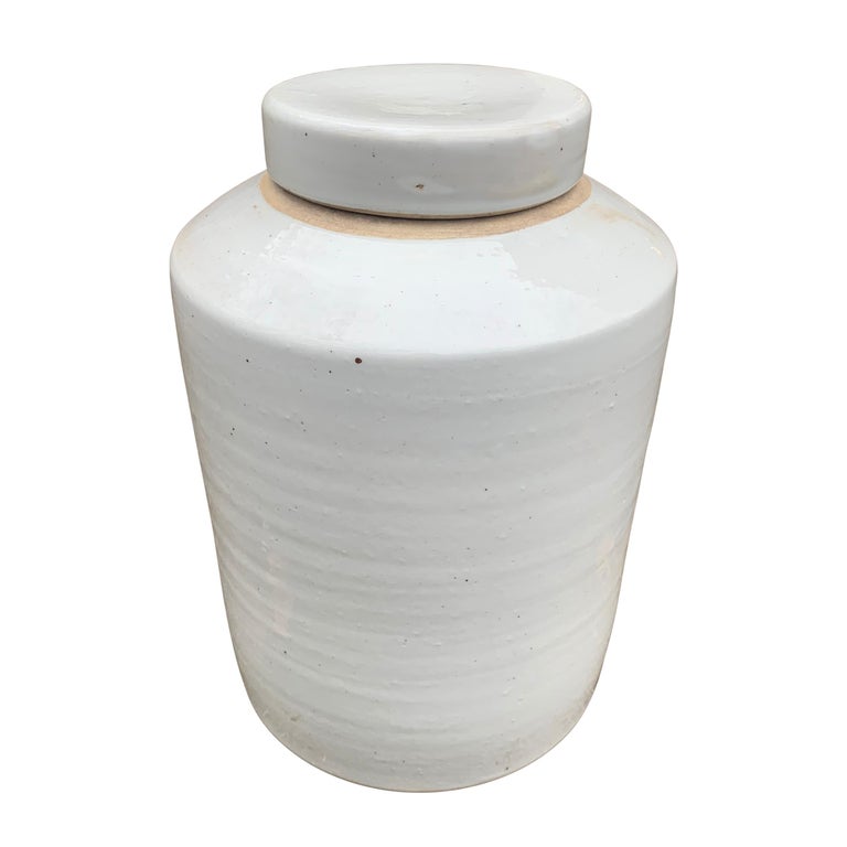 Chinese Export Chinese White Glazed Ginger Jar For Sale