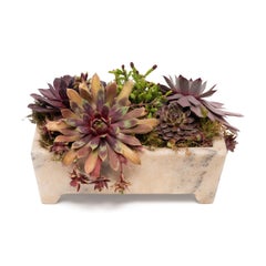 Chinese White Marble Footed Basin