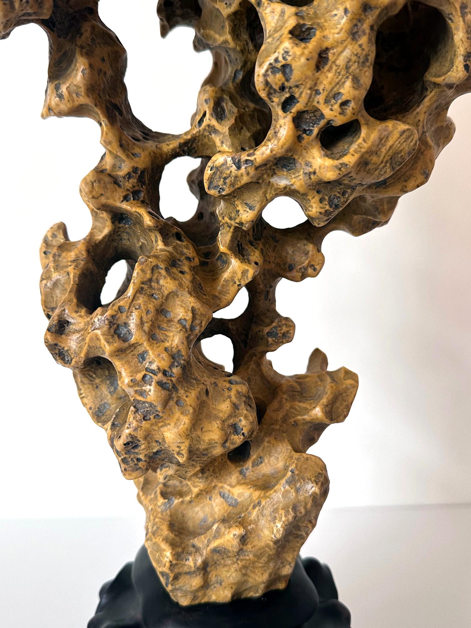 Chinese Yellow Scholar Taihu Stone on Wood Stand For Sale 3