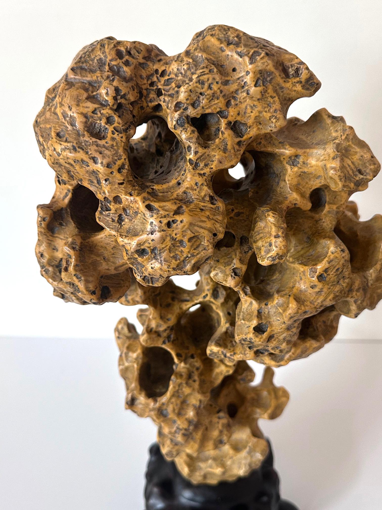 Chinese Yellow Scholar Taihu Stone on Wood Stand For Sale 2