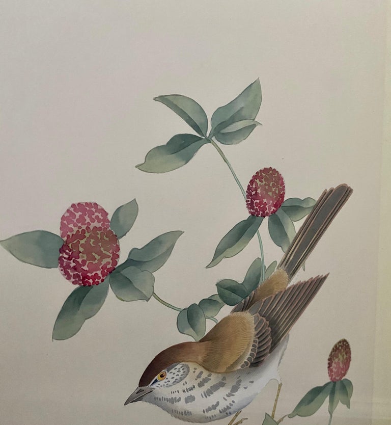 Chinoiserie Botanical Bird Wall Art Silk Paintings, Set of 6 6