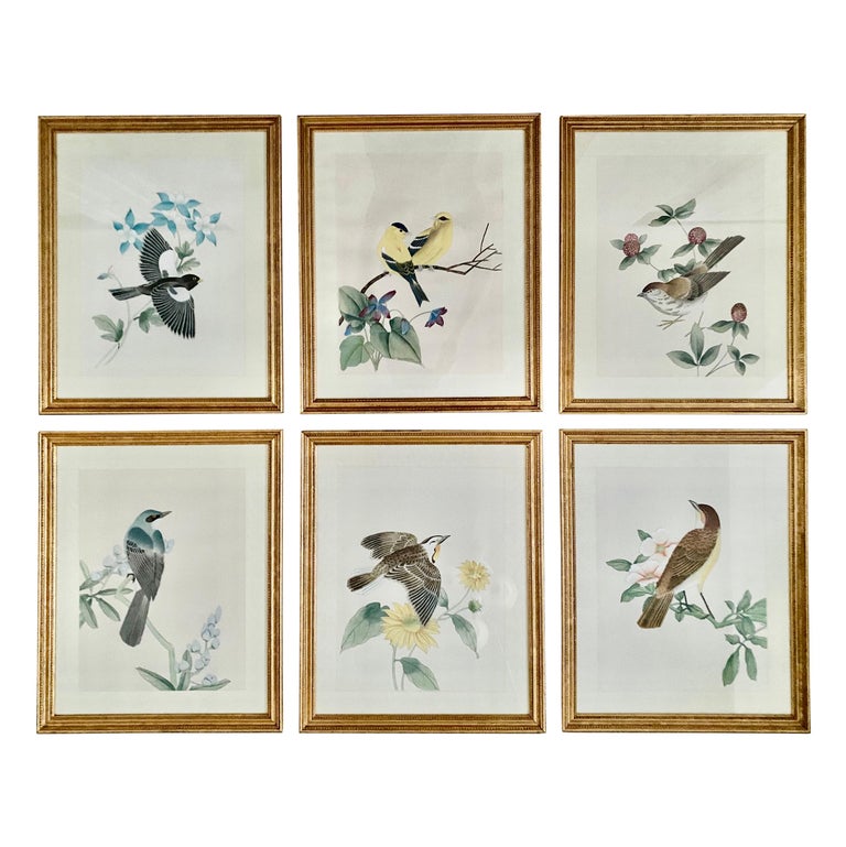 Chinoiserie Botanical Bird Wall Art Silk Paintings, Set of 6