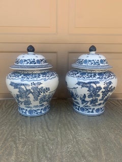 Barattoli grandi in porcellana bianca e blu di Chinoiserie, coppia