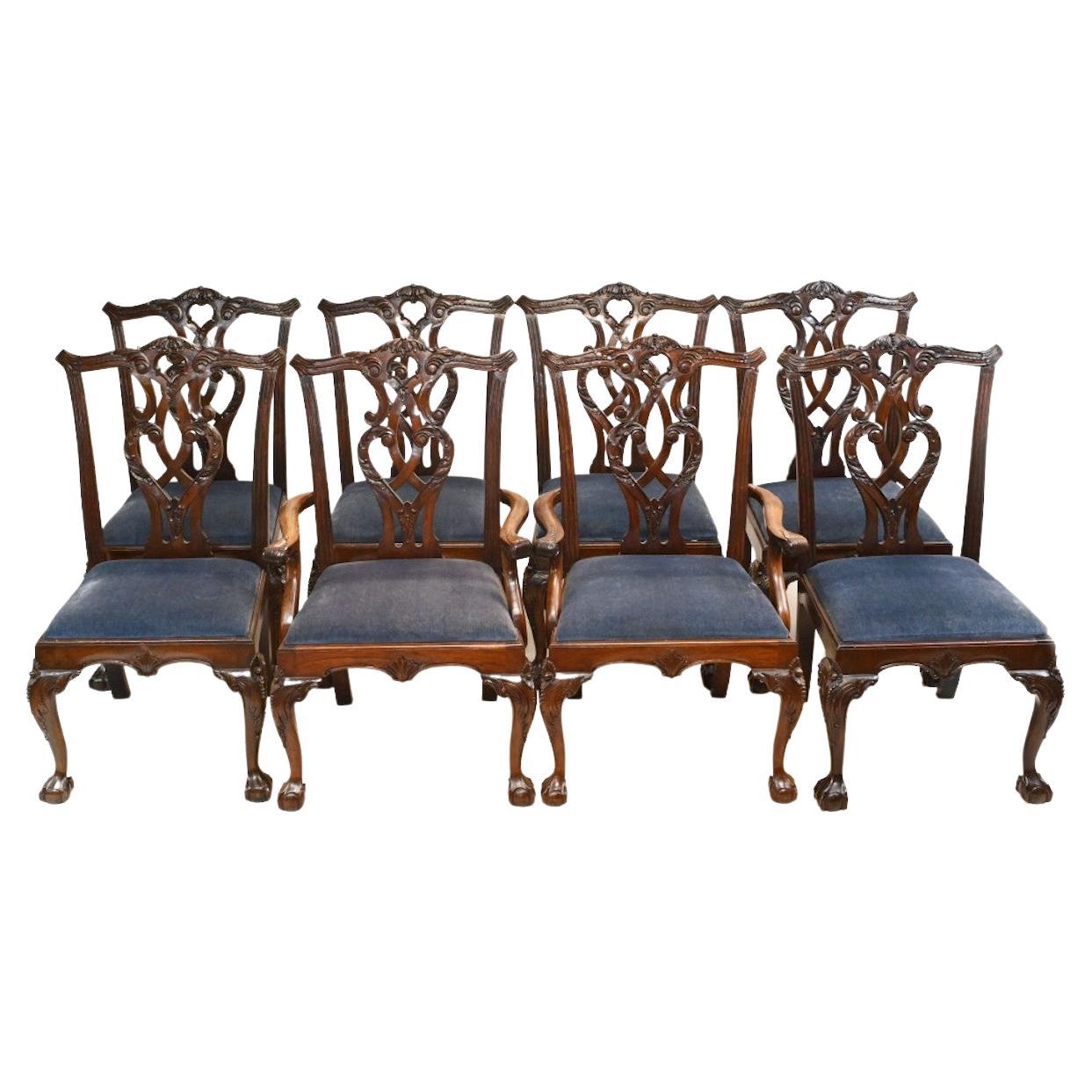 Chippendale Dining Chairs Mahogany Ball and Claw For Sale