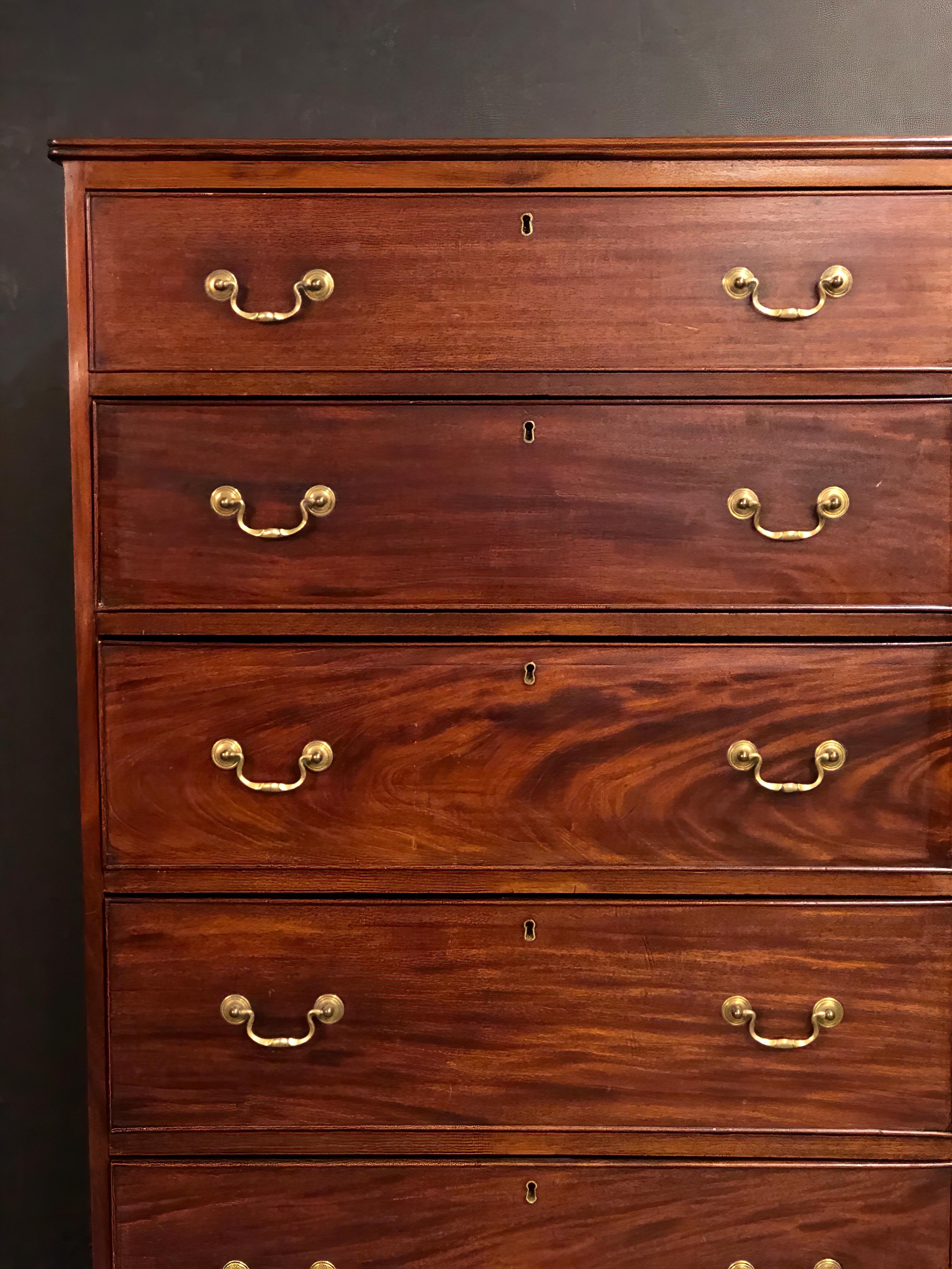chester drawers