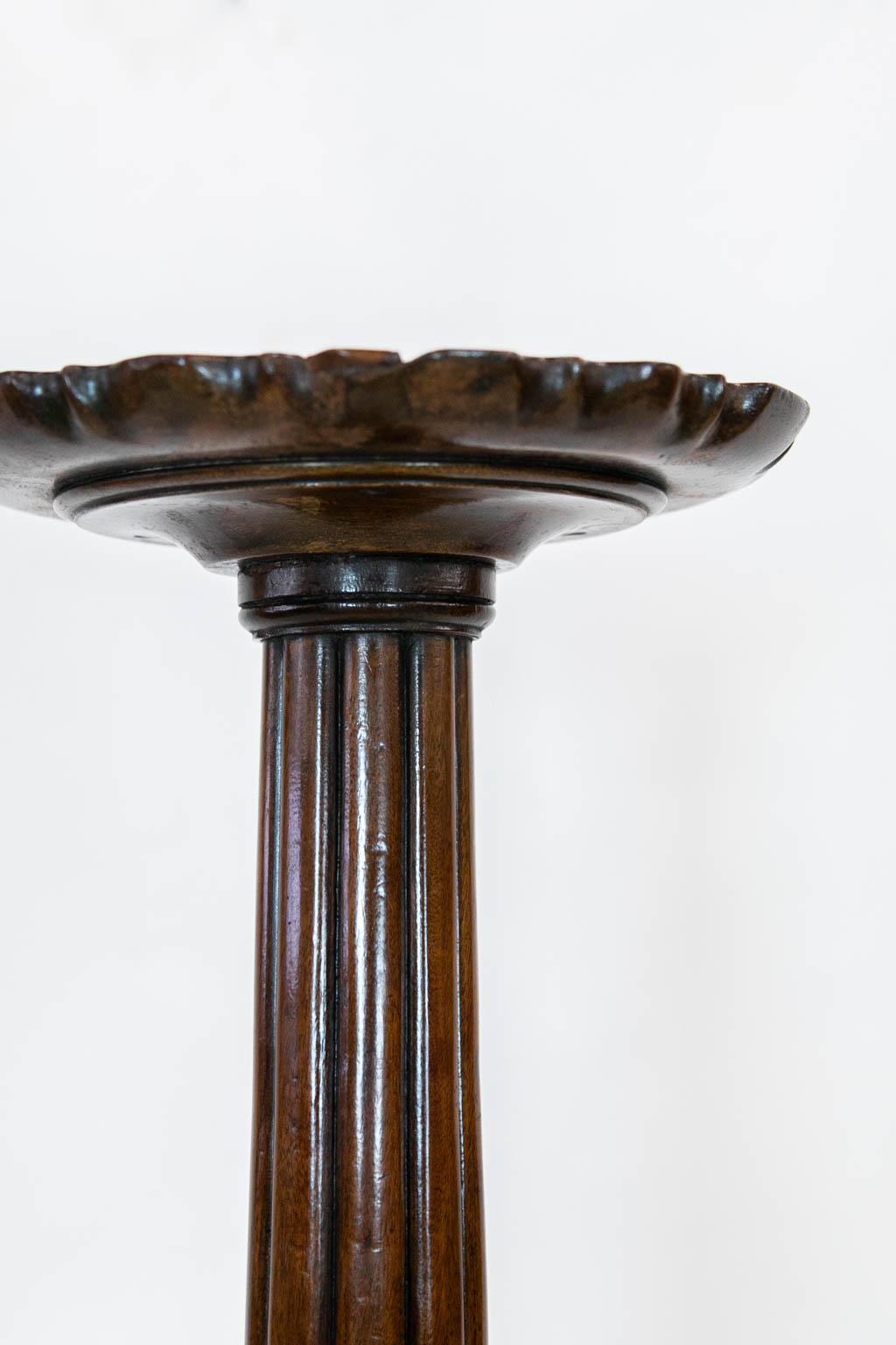 Mahogany Chippendale Pie Crust Plant Stand