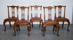 CHIPPENDALE STYLE 5 DINING CHAIRS WiTH LEATHER SEATS PERFECT FOR ROUND TABLE