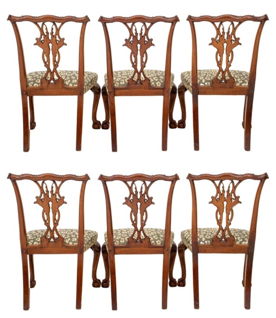 20th Century Chippendale Style Mahogany Side Chairs, ca. 1900, Set of 6 For Sale