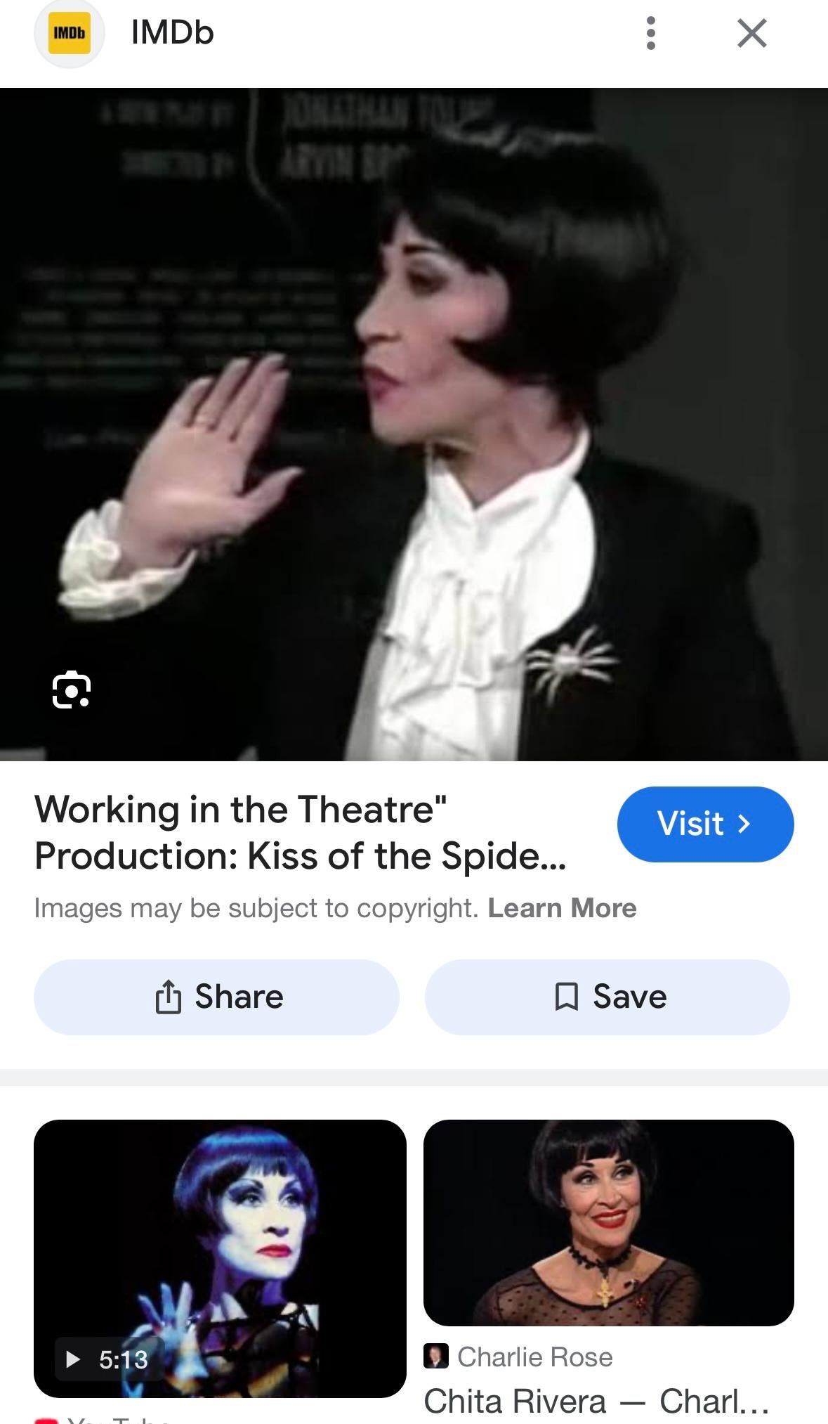 Contemporary Chita Rivera Spider Brooch Kiss Of The Spider Woman Broadway Theater History For Sale