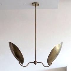 Chiton-2 Chandelier by Gallery L7