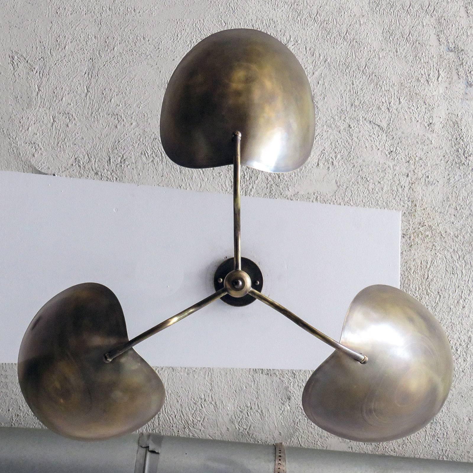 Contemporary Chiton-3 Chandelier by Gallery L7 For Sale
