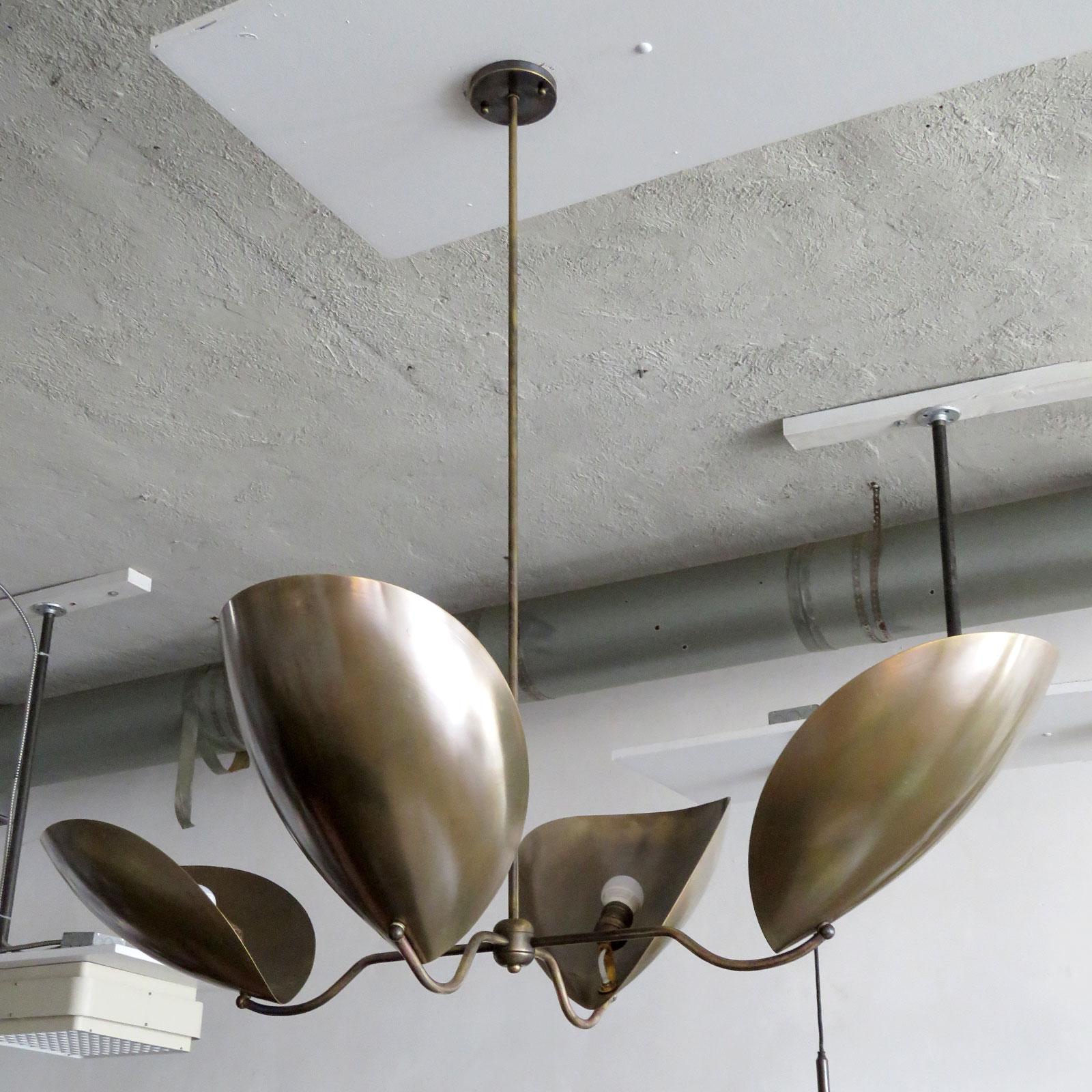 Organic Modern Chiton-4 Chandelier by Gallery L7 For Sale