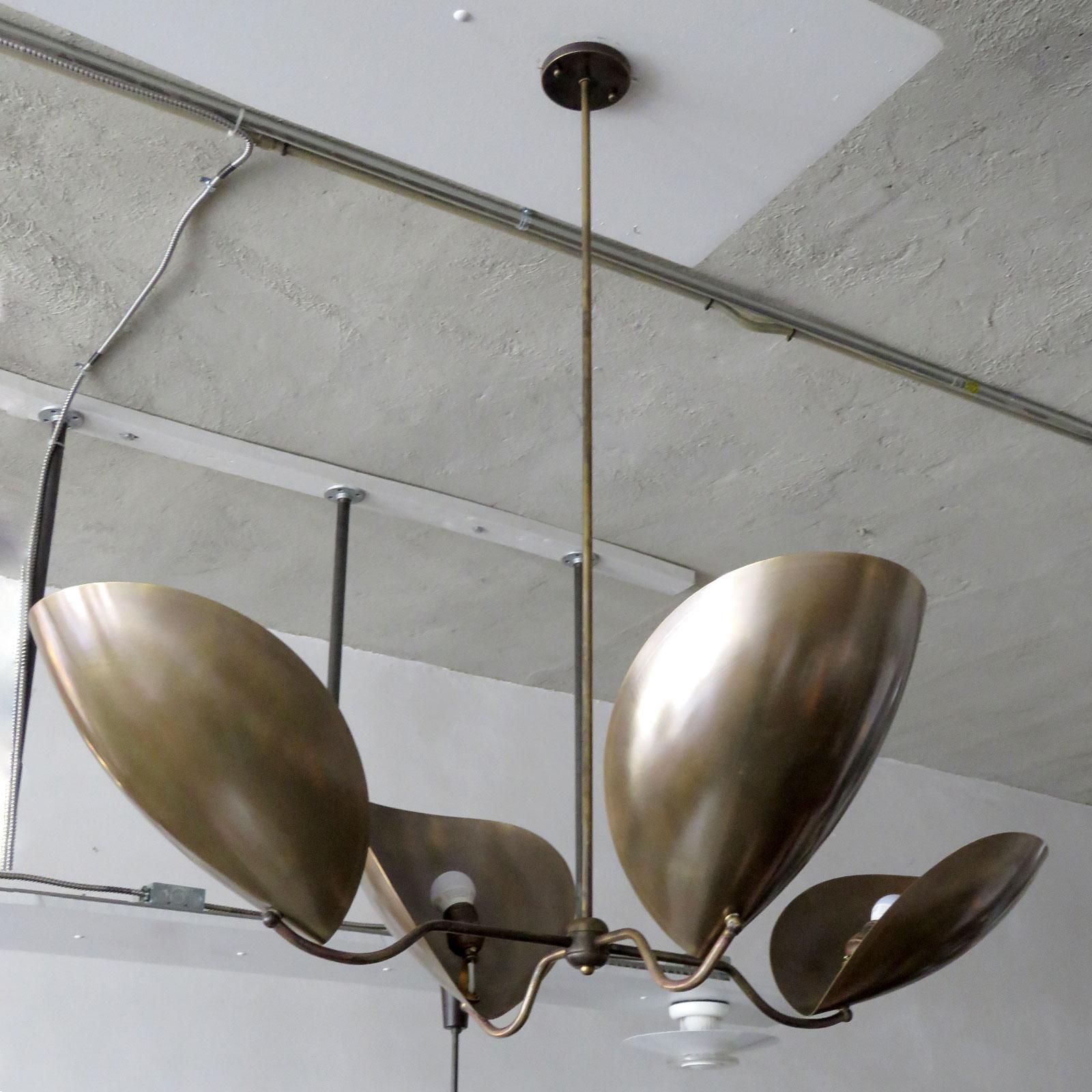 American Chiton-4 Chandelier by Gallery L7 For Sale