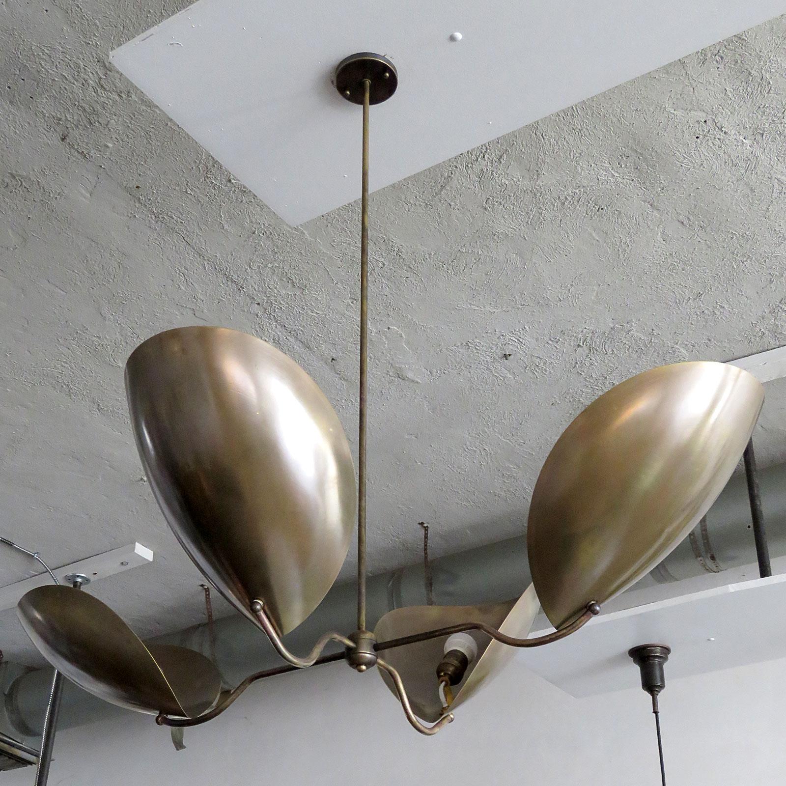 Contemporary Chiton-4 Chandelier by Gallery L7 For Sale