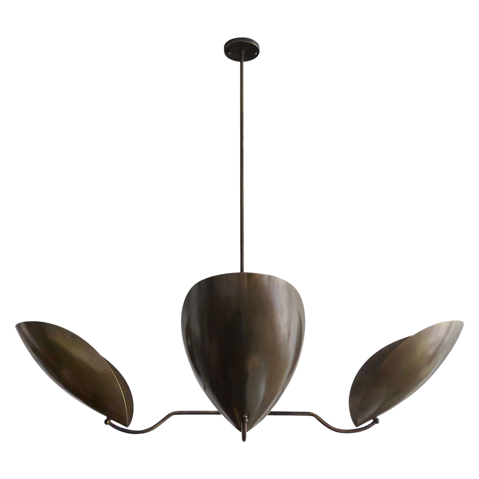 Chiton-4 Chandelier by Gallery L7