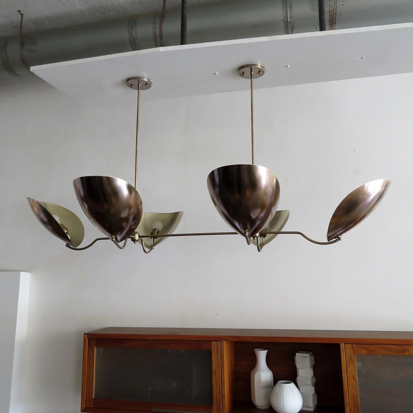 Organic Modern Chiton-6 Chandelier by Gallery L7 For Sale
