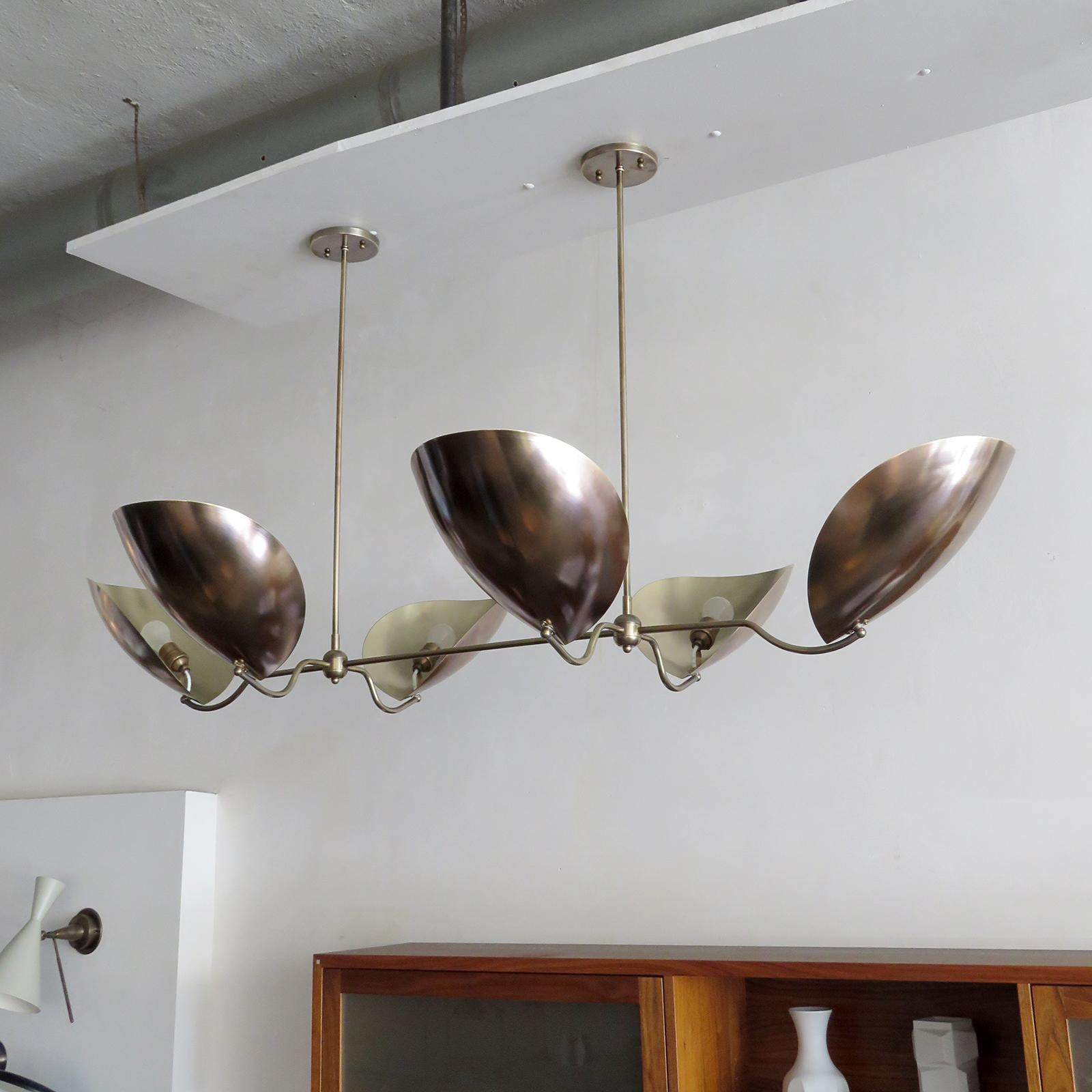 American Chiton-6 Chandelier by Gallery L7 For Sale