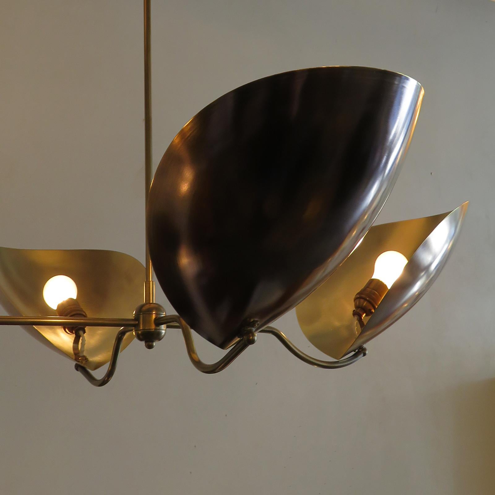 Contemporary Chiton-6 Chandelier by Gallery L7 For Sale