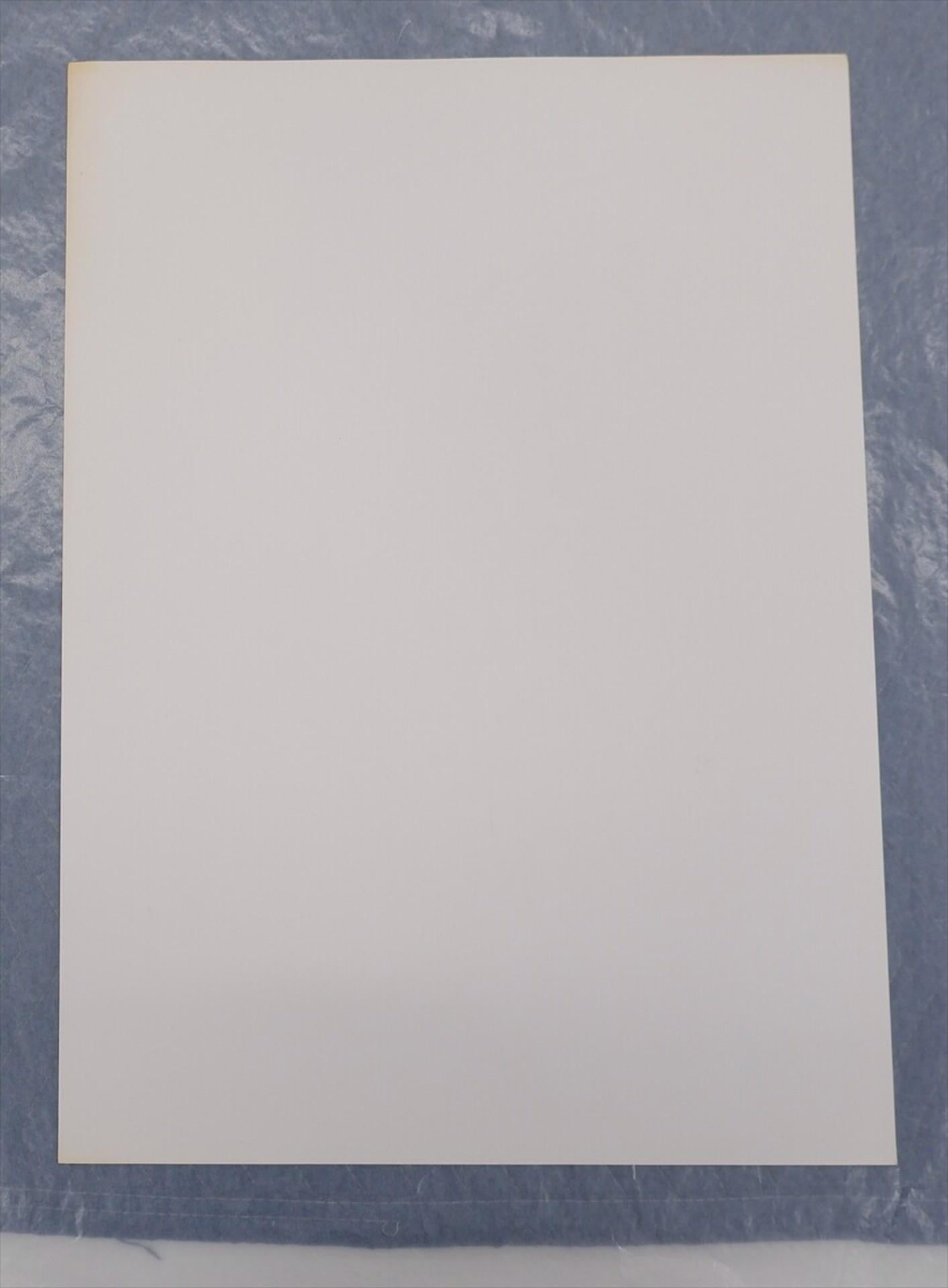 Untitled, 1993 Limited Edition (6/19) Screenprint by Chiyu Uemae signed en venta 3
