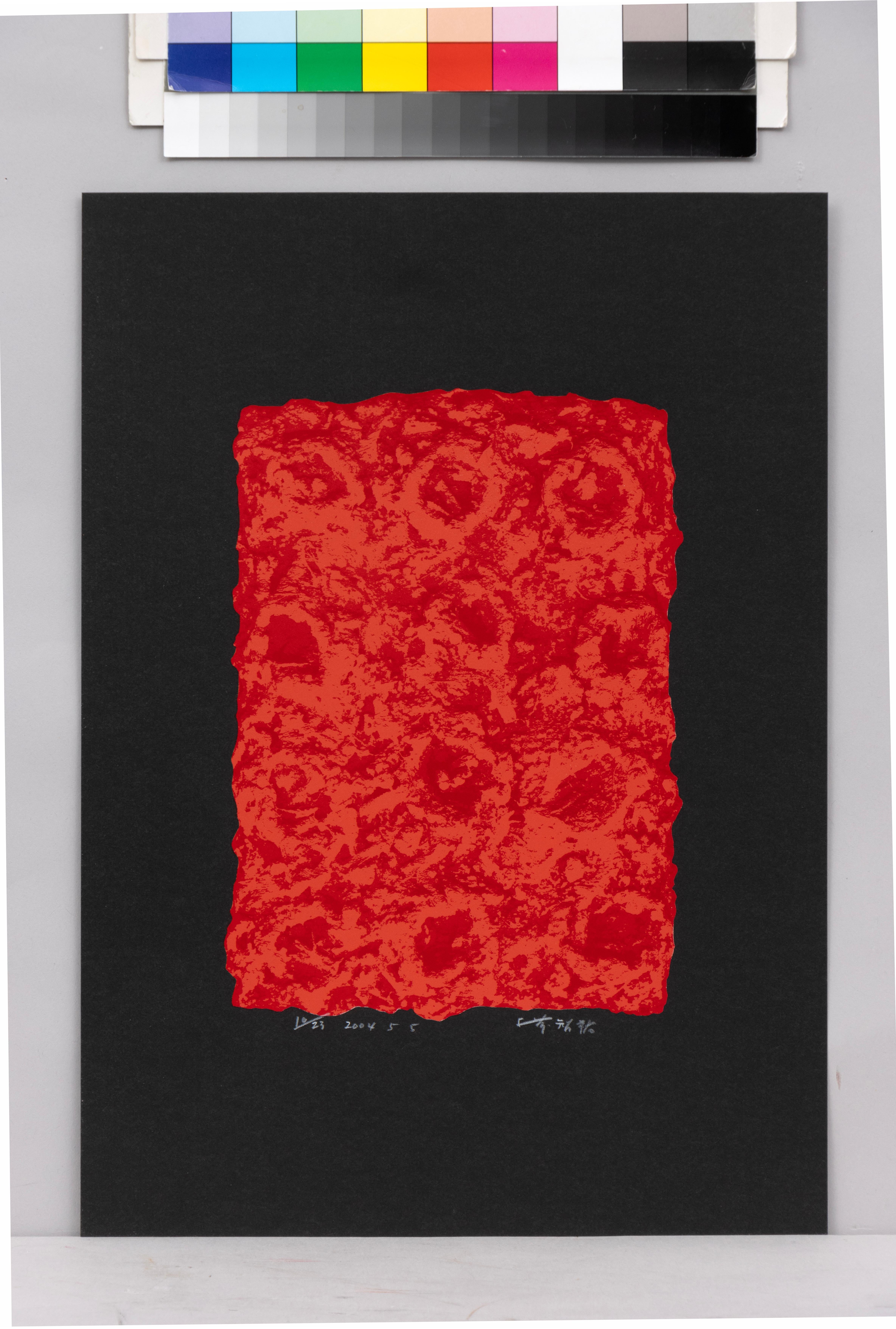 Unbetitelt (2004) (Abstrakt), Print, von Chiyu Uemae