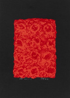 Sin título (2004)