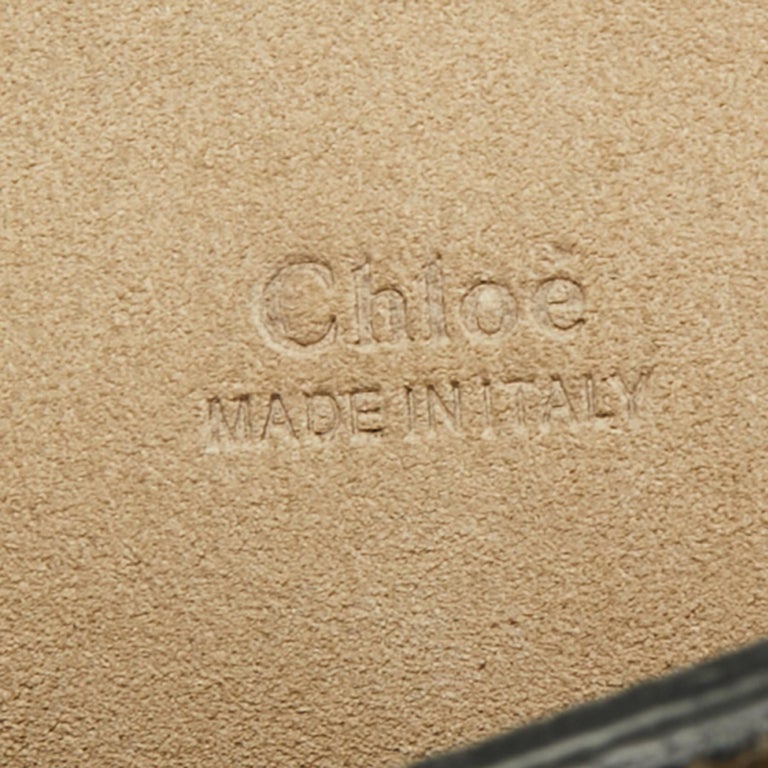 Avocado Green Bonded Leather Reference: Chloe Avocado Green Leather Medium Faye Shoulder Bag For Sale