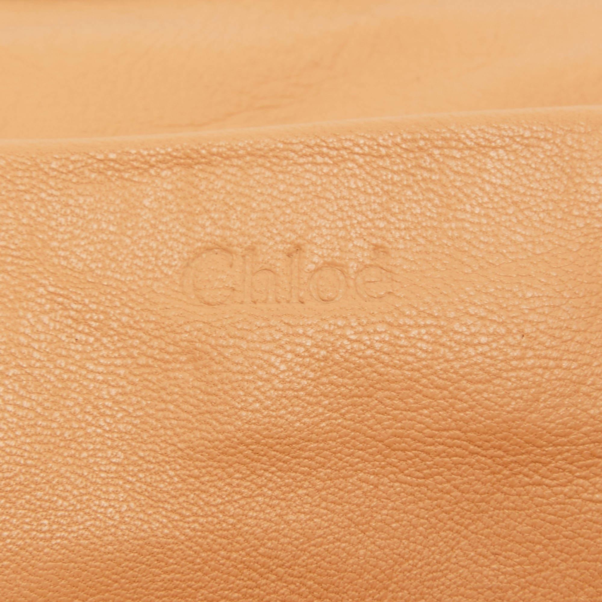 Chloe Beige Leather Medium Elsie Chain Shoulder Bag 2