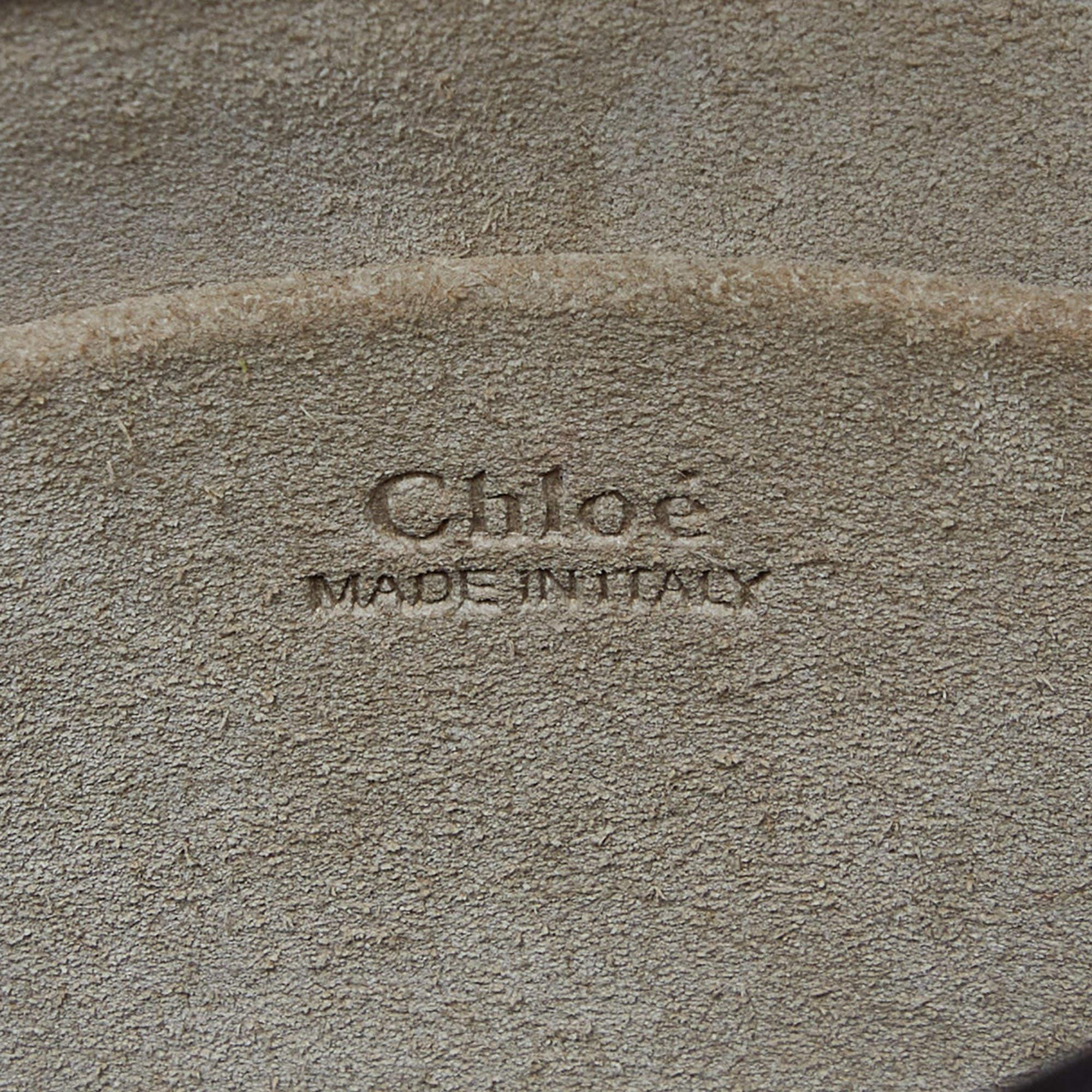 Chloe Beige Patent Leather Small Nile Bracelet Crossbody Bag 8