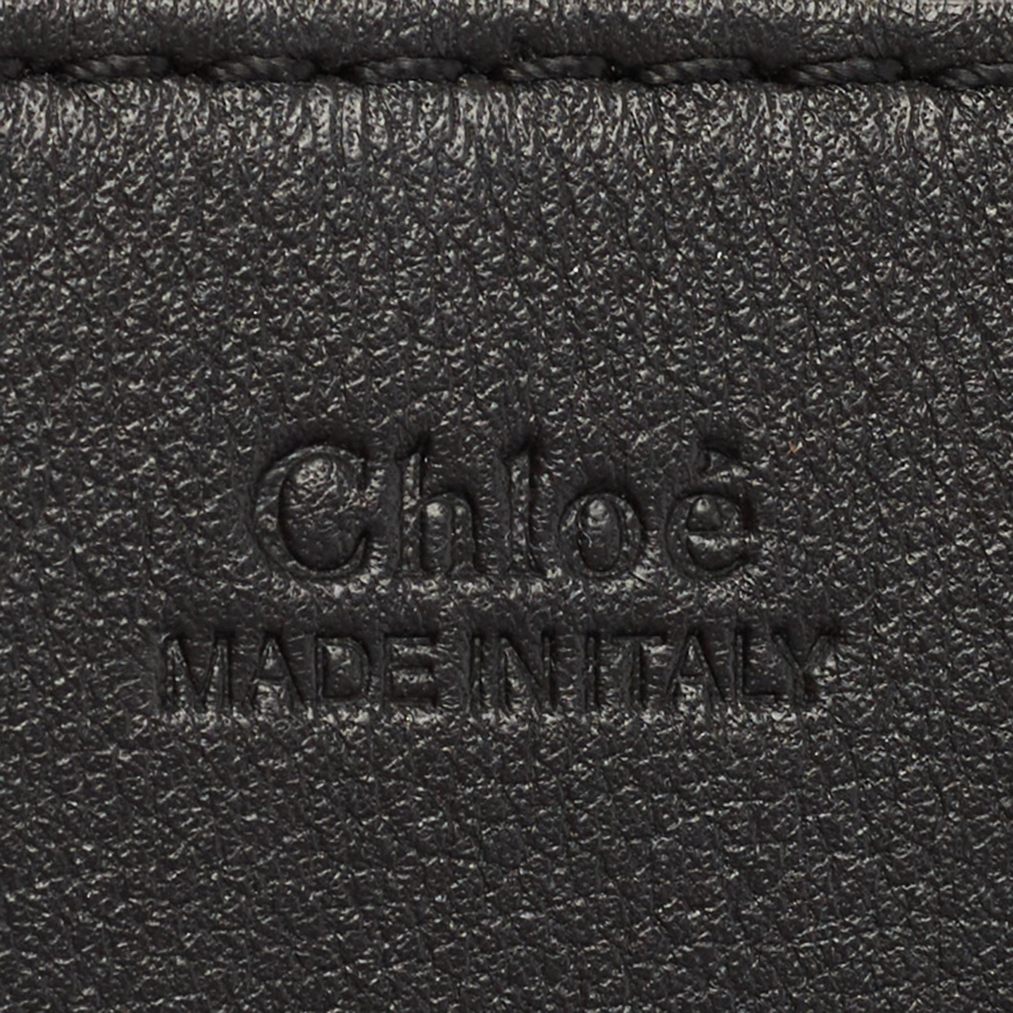 Chloe Black Leather Mini Drew Embellished Crossbody Bag 9