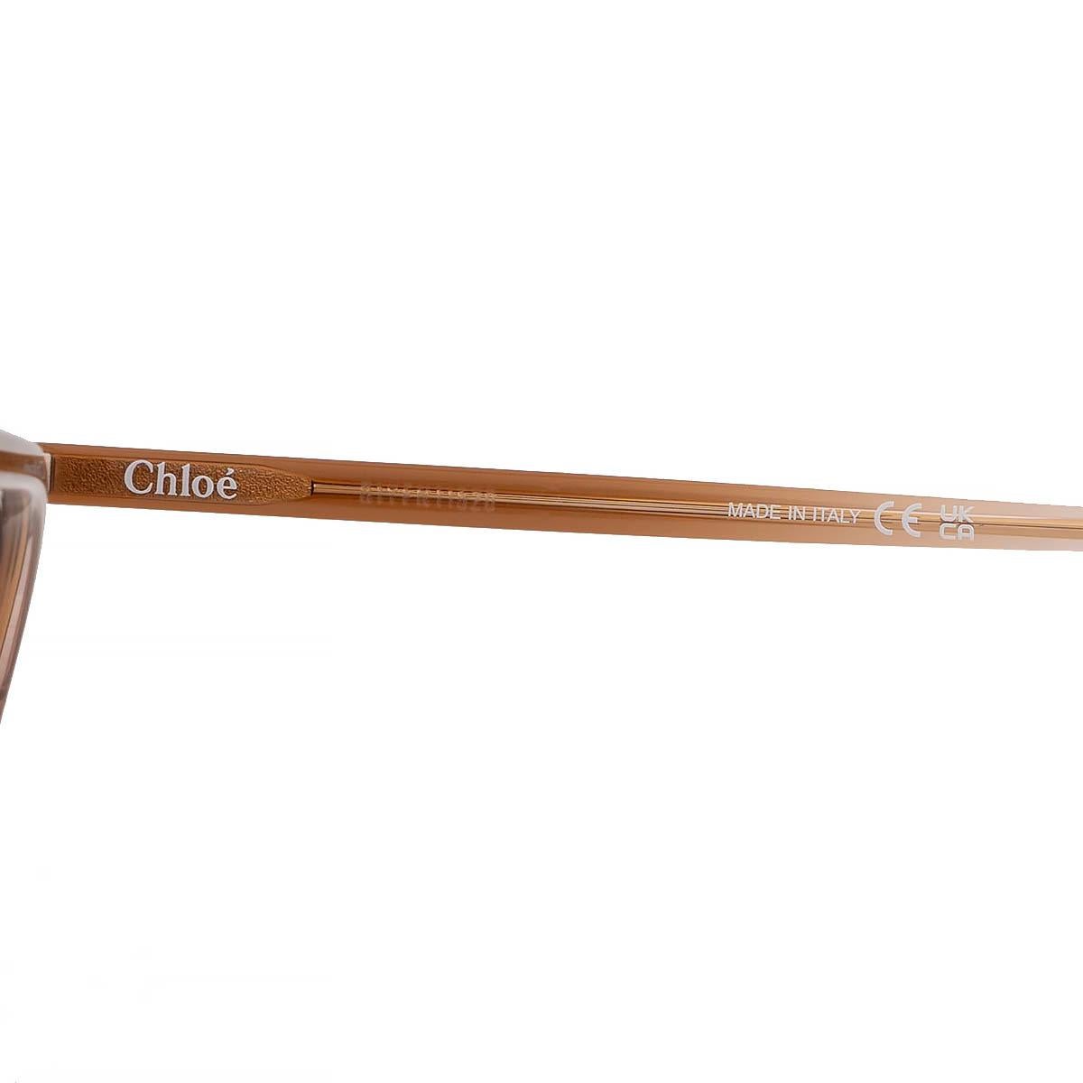 CHLOE brown acetate 2022 AVIATOR Sunglasses CH0129S 1