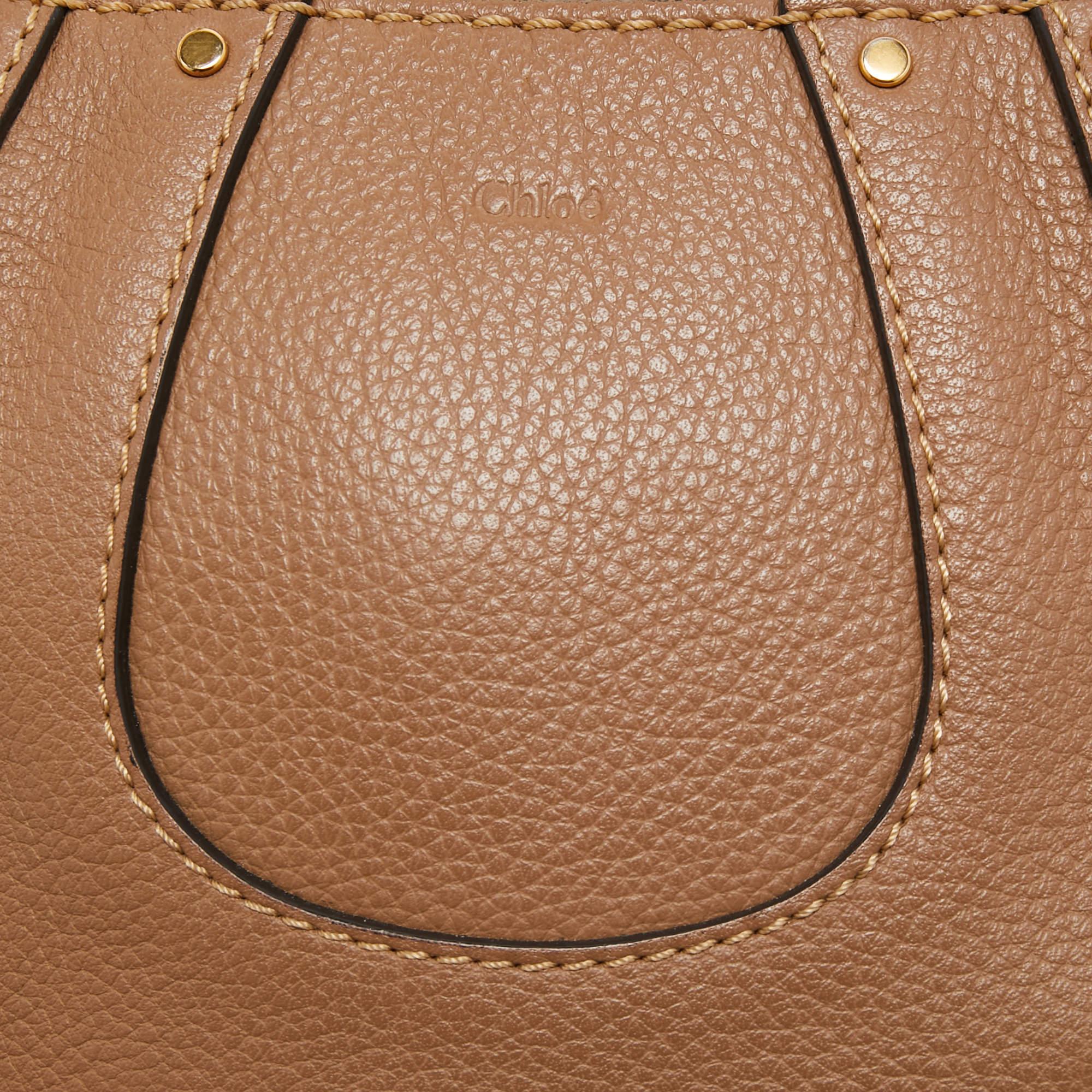 Chloe Brown Leather Nano Hayley Crossbody Bag 6