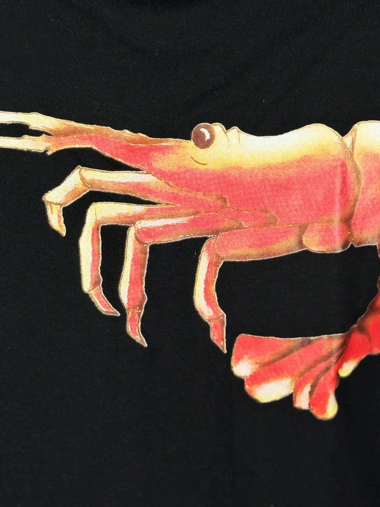 Chloé by Phoebe Philo Shrimp Top, SS 2002 For Sale at 1stDibs